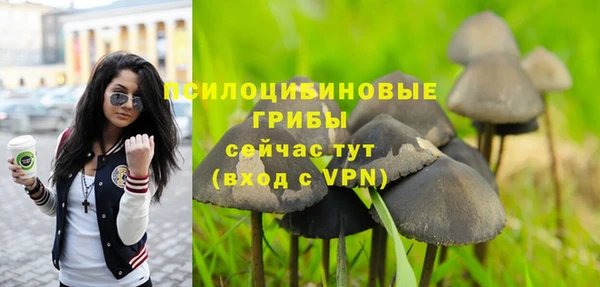 метадон Алексеевка