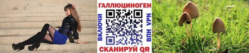 купить  сайты  Серов  Галлюциногенные грибы мицелий 