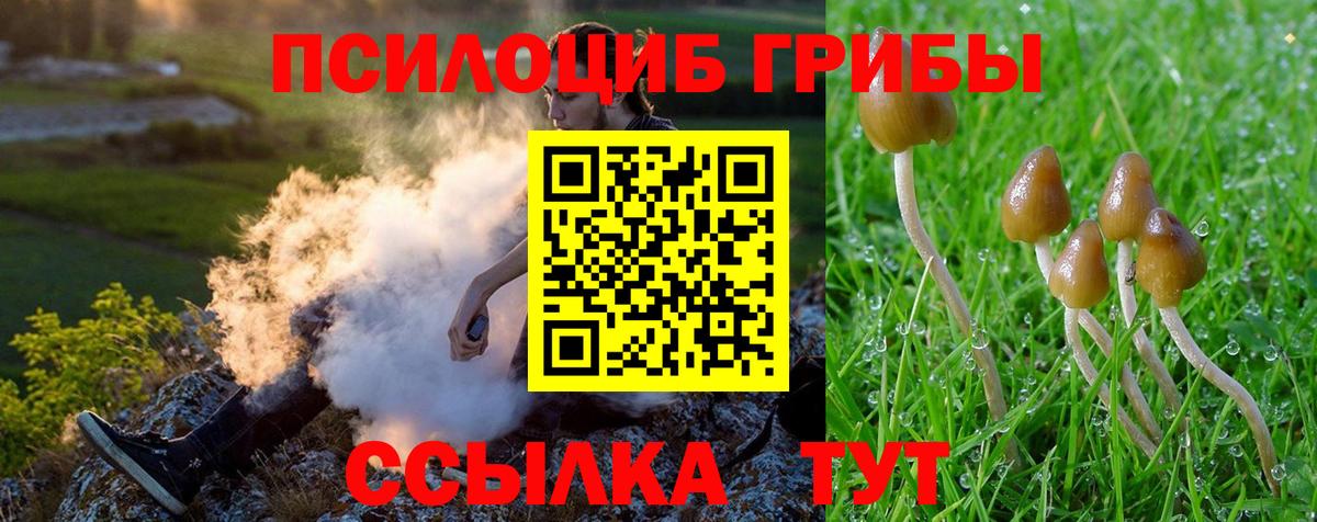 Псилоцибиновые грибы Psilocybine cubensis  Галлюциногенные грибы Psilocybe  Серов 