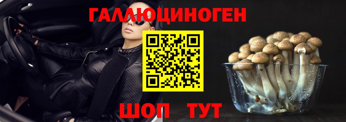 купить наркоту  Вход с VPN  Галлюциногенные грибы MAGIC MUSHROOMS  Серов  Галлюциногенные грибы MAGIC MUSHROOMS 